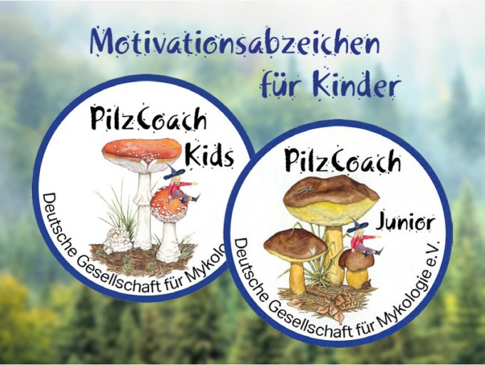 Motivationsabzeichen „PilzCoach Kids“ und „PilzCoach Junior“