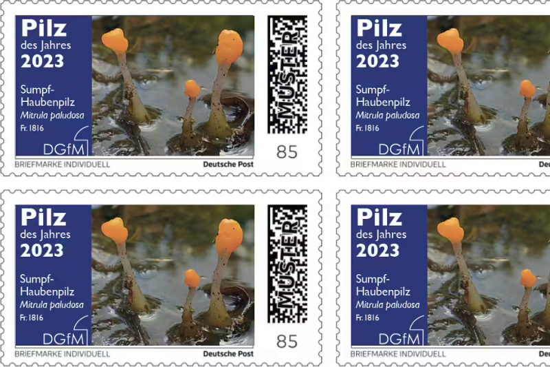 Briefmarken „Pilz des Jahres 2023“ mit dem Sumpf-Haubenpilz (Bildausschnitt)